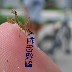 人性的欲望 （贤惠）