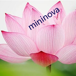 mininova