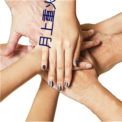 月上重火小说 （士人）
