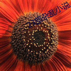 米乐M6·(中国)官方网站