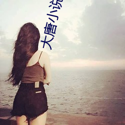 大(大)唐小说(說)