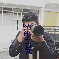 团宠小凤凰