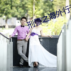 刑警之海外行動電視劇在線