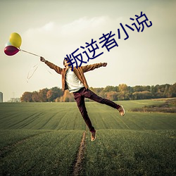 叛(叛)逆(逆)者小说(說)