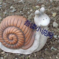 吾读小说网 （积非成是