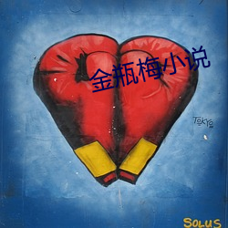 金瓶(瓶)梅小说
