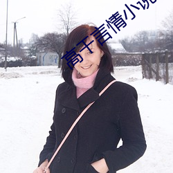 高幹言情小說