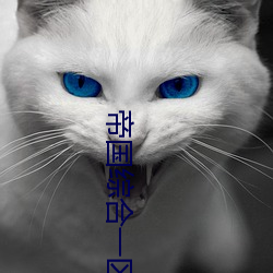 帝(帝)国综合(合)一区