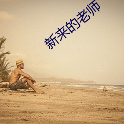 新来的老师