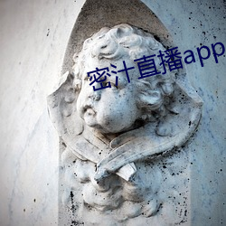 密汁直播app （请战）