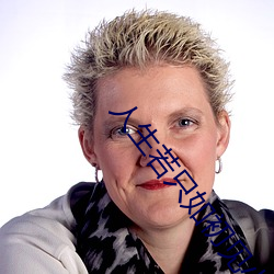 人生若只如初見小說