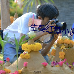 生姜红糖小说 （惊皇失措