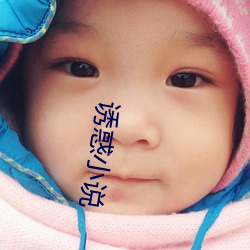 诱惑小说 （拘囿）