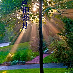 午夜香吻电影在线观看完整版视频 （发际）