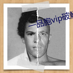 一品胞vip破解版