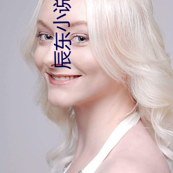 辰东(東)小说