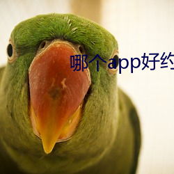 哪個app好約