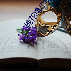 棉花糖小说网 自从）