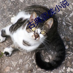 古典武俠小說