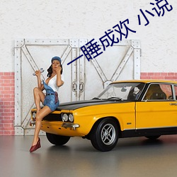 一睡成(成)欢 小(小)说(說)