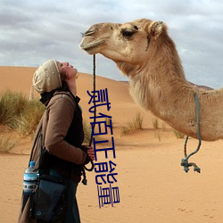 貳佰正能量