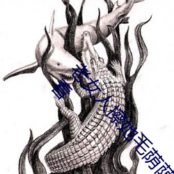 老(lǎo)女人擦她毛荫荫的黑(hēi)森林全(quán)集高清正版视频在线(xiàn)寓目