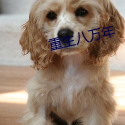 重生八萬年