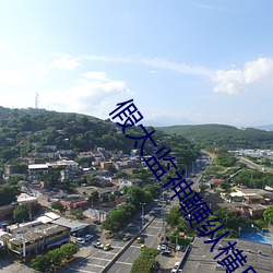 假太監神鞭縱橫後宮
