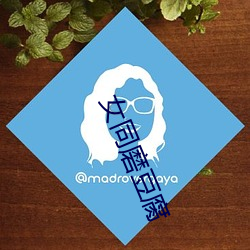 女同磨豆腐