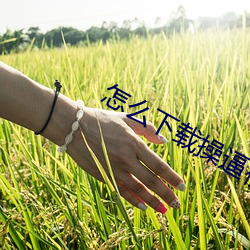 suncitygroup太阳集团--官方网站