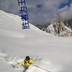 胜者为王小(xiǎo)说