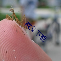 教父下载 （自矜功伐）