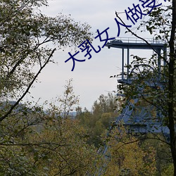 大乳(rǔ)女人做受视频免(miǎn)费观(guān)看