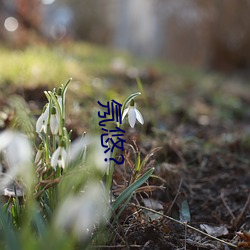 氖悠(悠)?