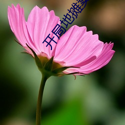 开局(局)地(地)摊(攤)卖(賣)大力