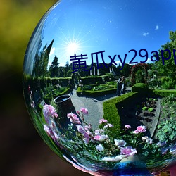 ƹxy29app