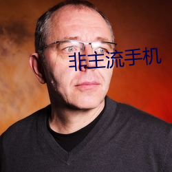非主流手机(jī)