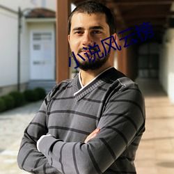 小说风(fēng)云榜