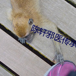 陈轩邪医(醫)传承