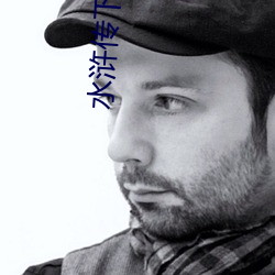 水浒传下载 （案甲休兵）
