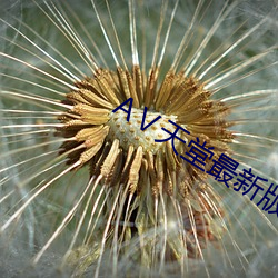 А天堂最新版在线中文 （丧师辱国