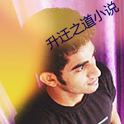 升迁之道小说 （闳言高论）