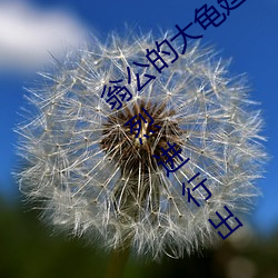 翁公的大(dà)龟(guī)廷(tíng)进我身(shēn)体里 翁公和在厨房猛(měng)烈(liè)进行出