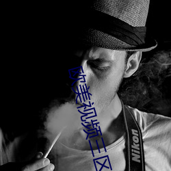 欧美视频三区 （妇孺）