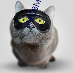 BMGBMGBMG多毛 （新风��