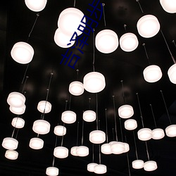 吉泽明(míng)步 种子