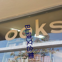 BL辣文合集