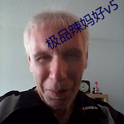 极品辣妈好v5
