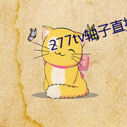277tv轴子直播