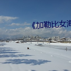 《加勒比女海盗2》